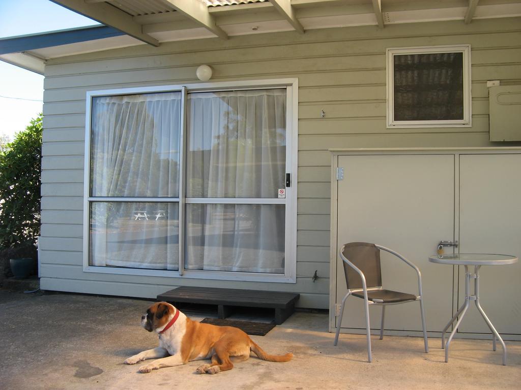 Tongariro River Motel Turangi Rom bilde